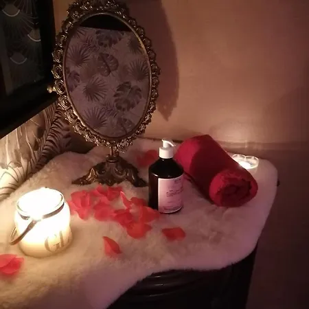 Romantisme Et Glamour Avec ,jardin Proche Zenith Appartement