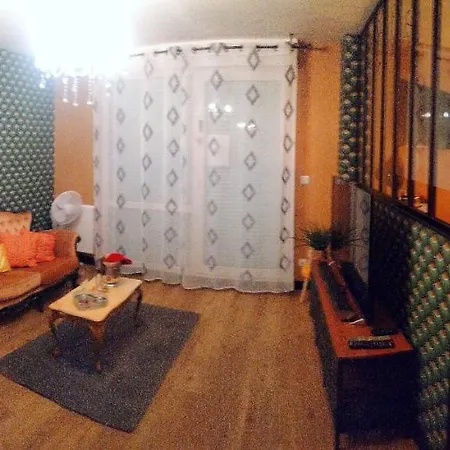 Romantisme Et Glamour Avec ,jardin Proche Zenith Apartmán Dijon