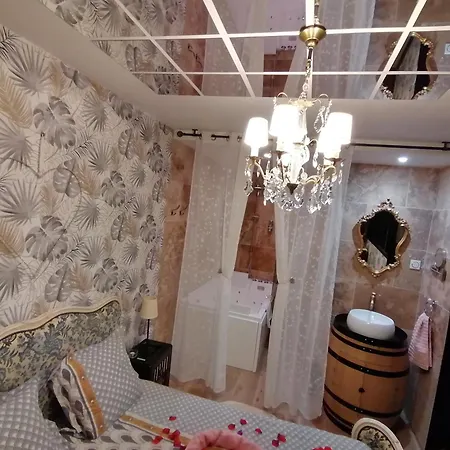 Apartament Romantisme Et Glamour Avec ,jardin Proche Zenith Dijon