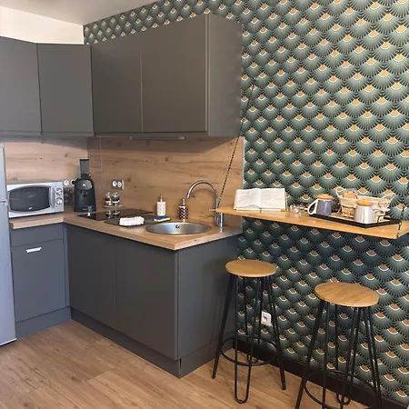 Apartmán Romantisme Et Glamour Avec ,jardin Proche Zenith