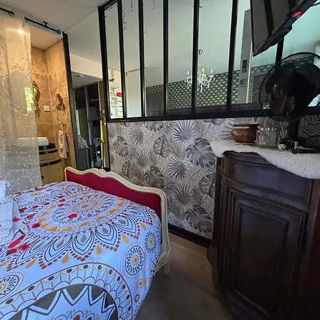 Romantisme Et Glamour Avec ,jardin Proche Zenith Apartament