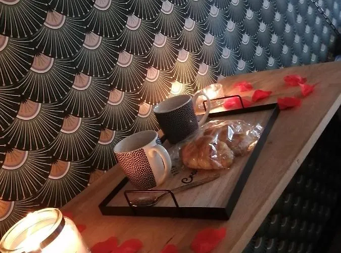 Romantisme Et Glamour Avec ,jardin Proche Zenith 公寓