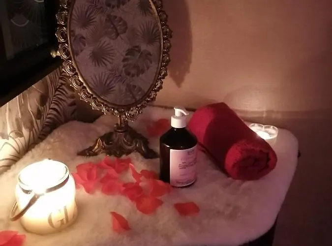 Romantisme Et Glamour Avec ,jardin Proche Zenith 公寓