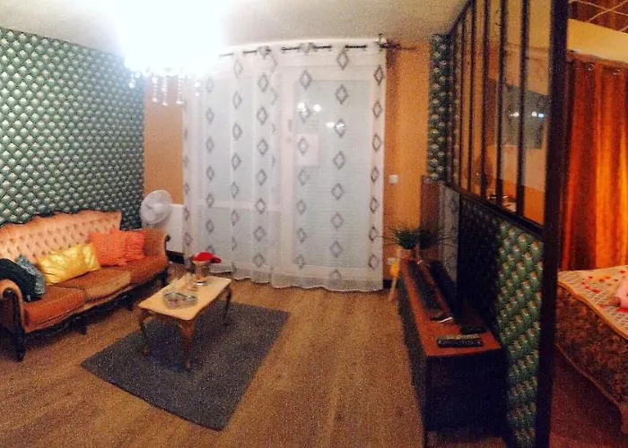 Romantisme Et Glamour Avec ,jardin Proche Zenith 公寓 第戎