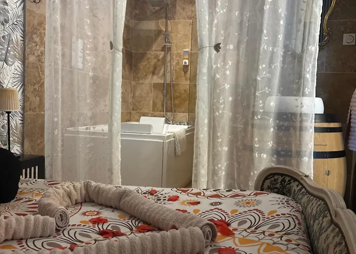 Appartement Romantisme Et Glamour Avec Spa, Piscine Et Jardin Dijon