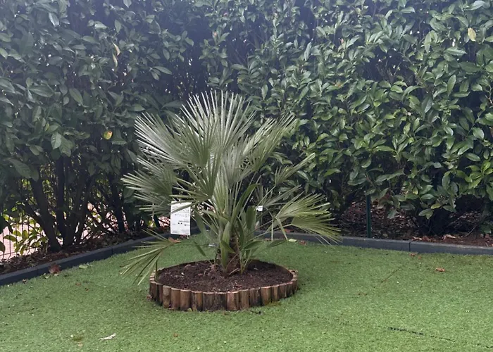 Romantisme Et Glamour Avec ,jardin Proche Zenith