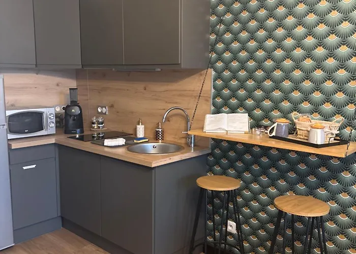 公寓 Romantisme Et Glamour Avec ,jardin Proche Zenith